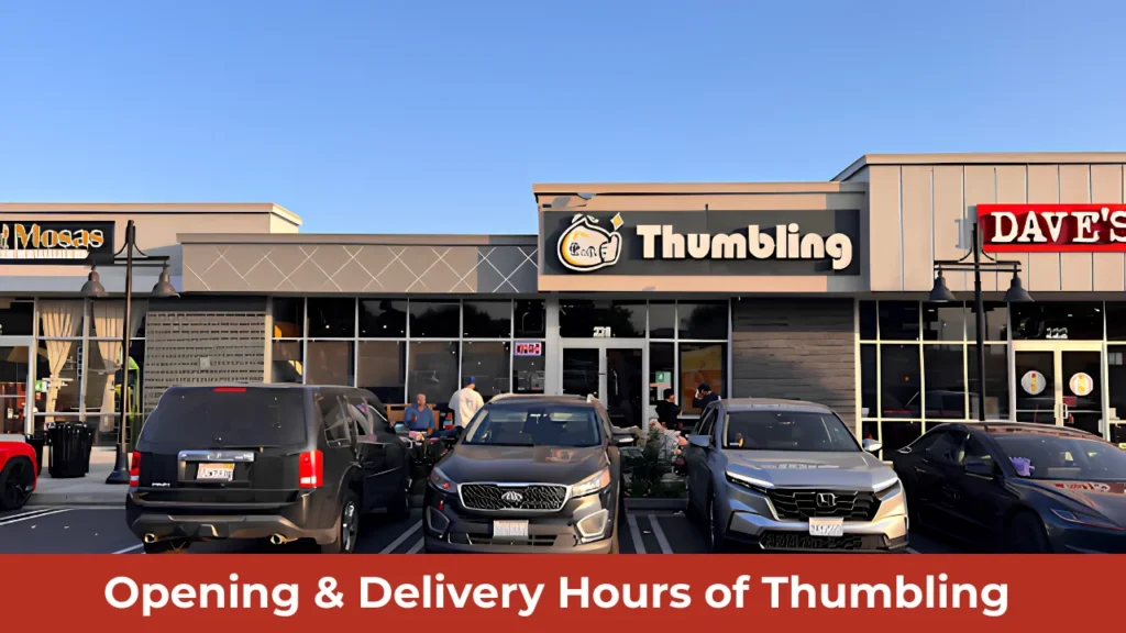 Opening & Delivery Hours of Thumbling