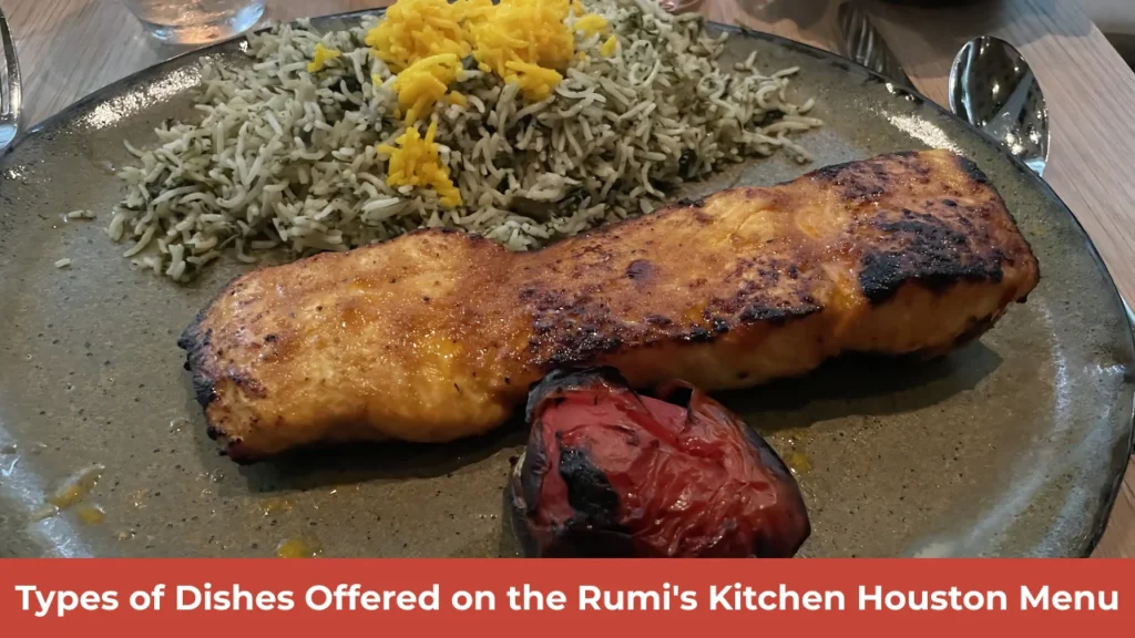 Types of Dishes Offered on the Rumi's Kitchen Houston Menu