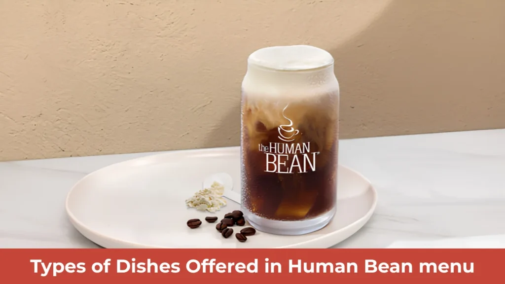 Types of Dishes Offered in Human Bean menu